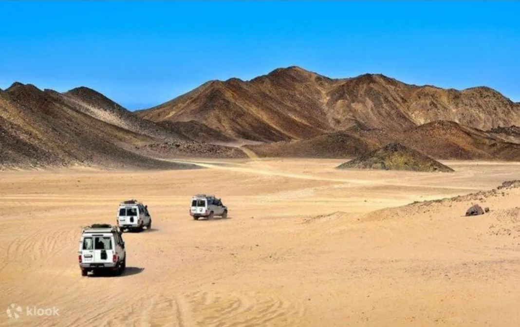 🐪✨ Desert Safari Adventure – El Gouna / Hurghada Desert 🏜️🔥 Desert safari Adventure El Gouna hurghada desert /IMG-20260702-WA0092.jpg